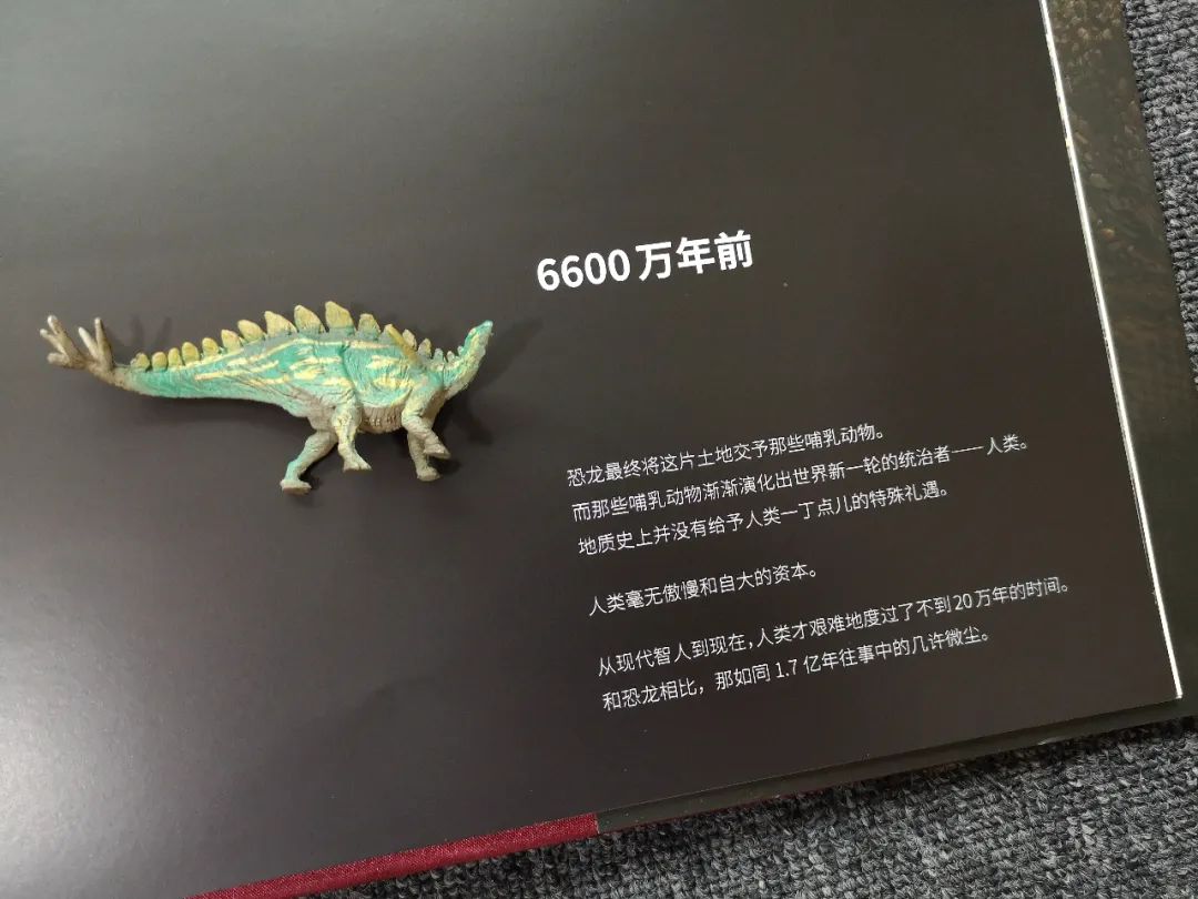 适合孩子看的恐龙科普书,适合5岁孩子看的恐龙科普书