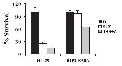 跟大牛学习,跟大牛学什么技术好