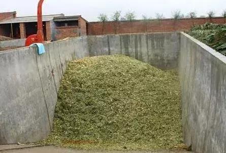 秋天地里的秸秆怎么用,秸秆如何利用给你支招