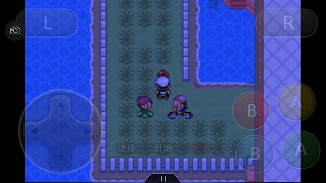 究极绿宝石一周目神兽攻略 (究极绿宝石5一周目能不能mega进化)