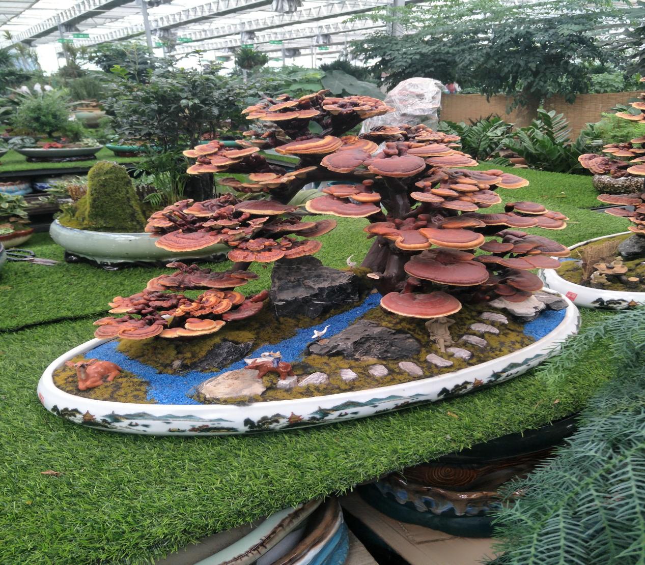 廊坊第二十四届农产品展销会,2024廊坊食品展览会