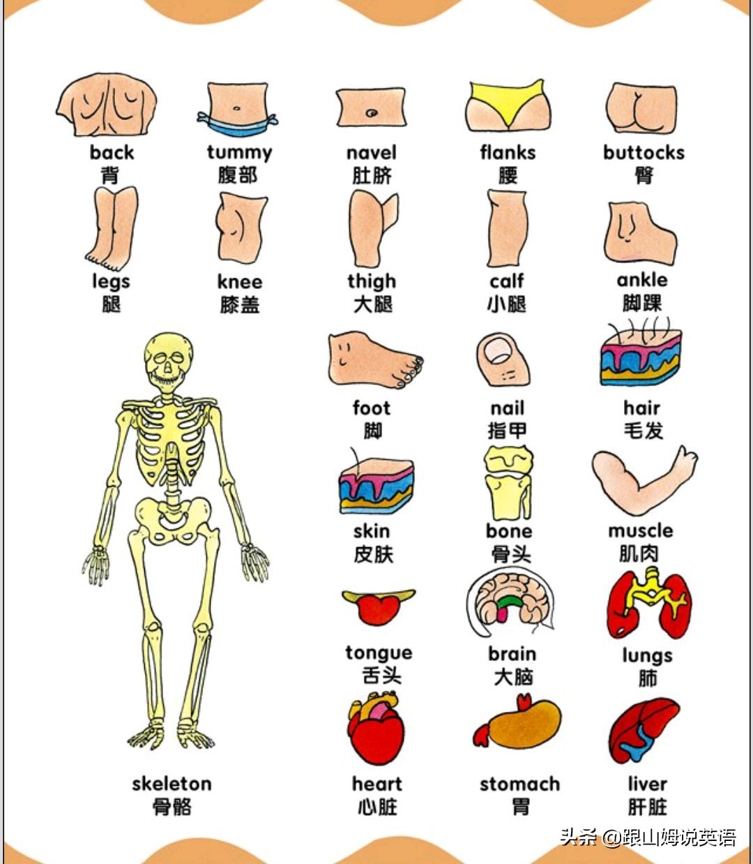 90幅图速记1000个初中英语单词,90幅图轻松记1000个单词