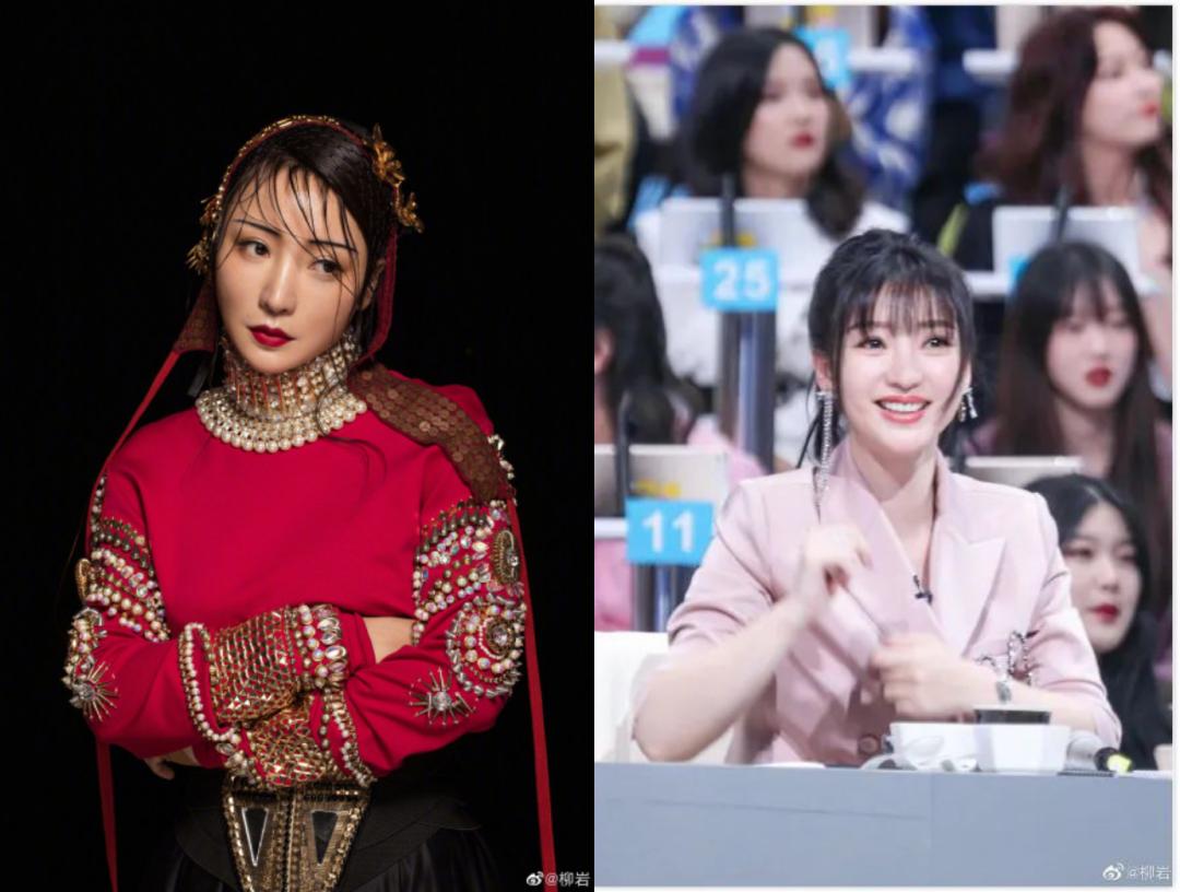 柳岩为什么会被封杀,柳岩被封杀的背后