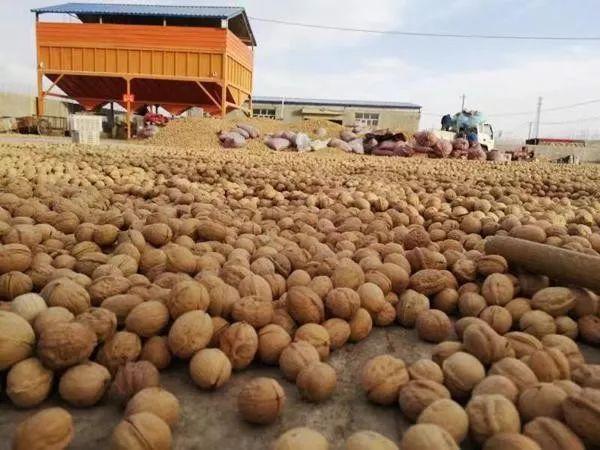 这里有一份来自和田的“爱心大礼包”等你查收