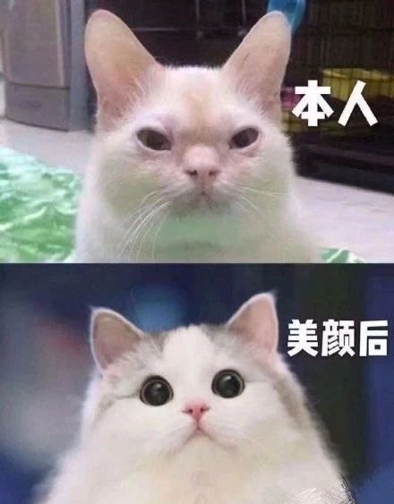 你们喝醉酒后，都干出什么事儿？哈哈哈哈哈哈哈哈哈