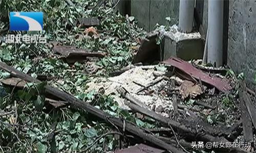 一场狂风骤雨,百年老树倒塌房屋被砸烂,我的房子该咋办?