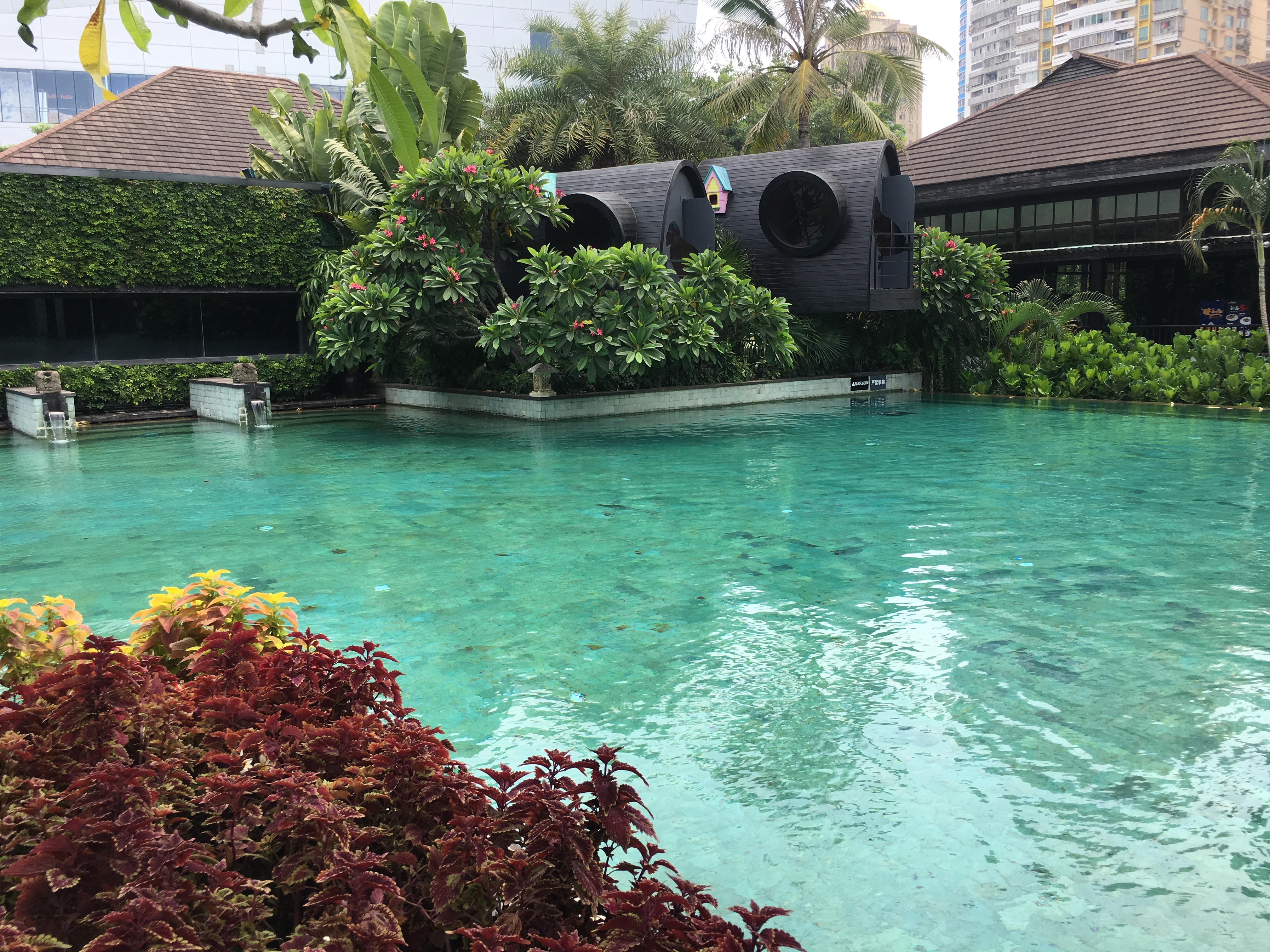 厦门最贵一道菜,厦门最贵的料理