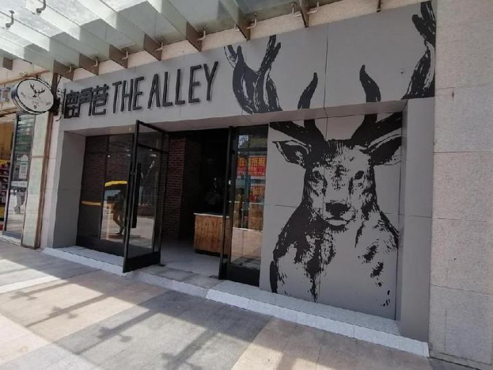 鹿角巷火爆原因,鹿角巷为什么突然火了