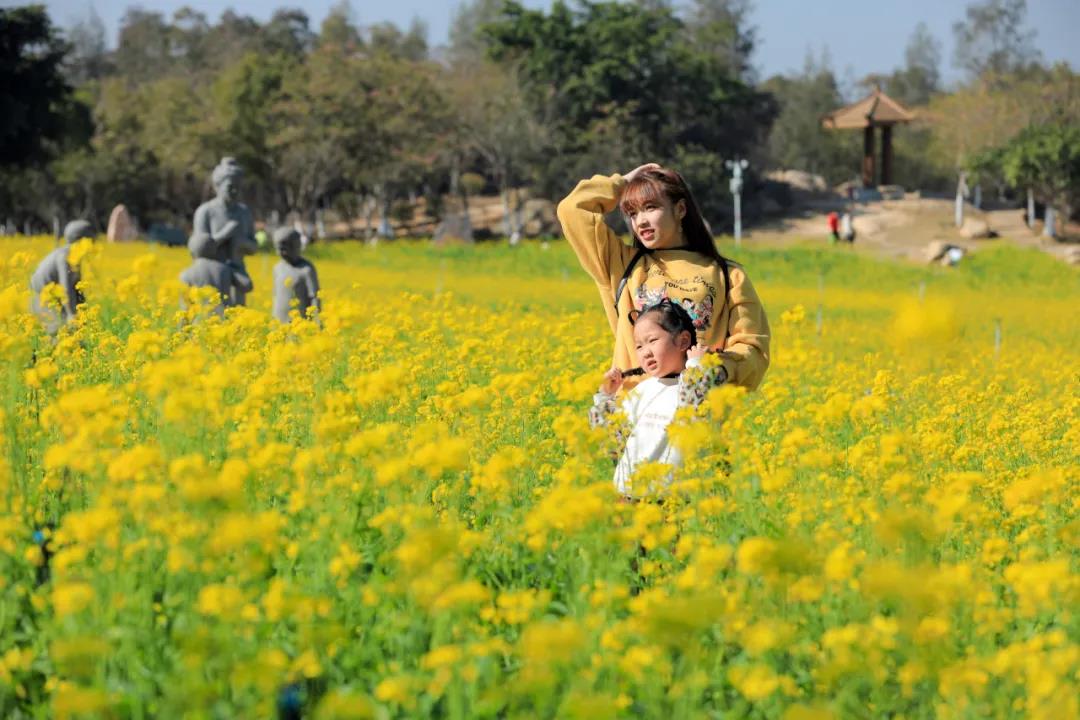 春节期间最受欢迎旅行地厦门,厦门春节旅游预约攻略最新