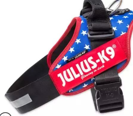 k9巅峰罐头猫,巅峰k9猫粮多少钱