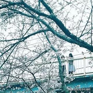 这才是最正宗的九宫格图,最简单的晒图方法