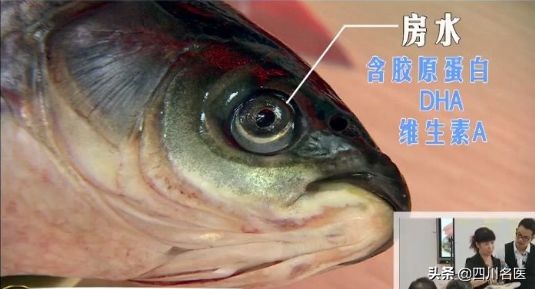 吃什么长寿菜最有营养价值,很有营养的长寿菜