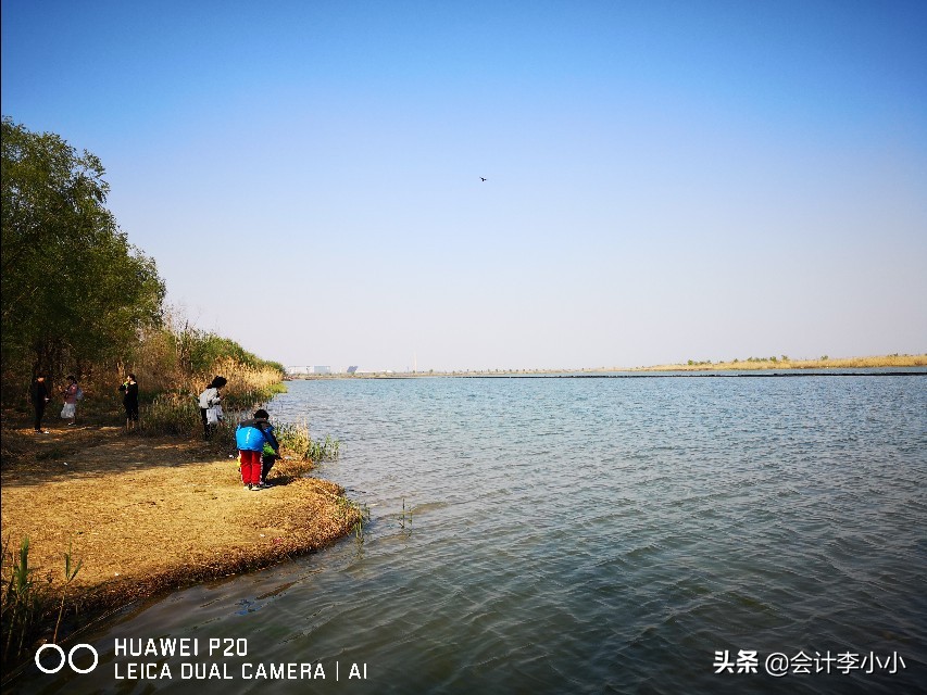 巢湖岸上草原,合肥岸上草原照片