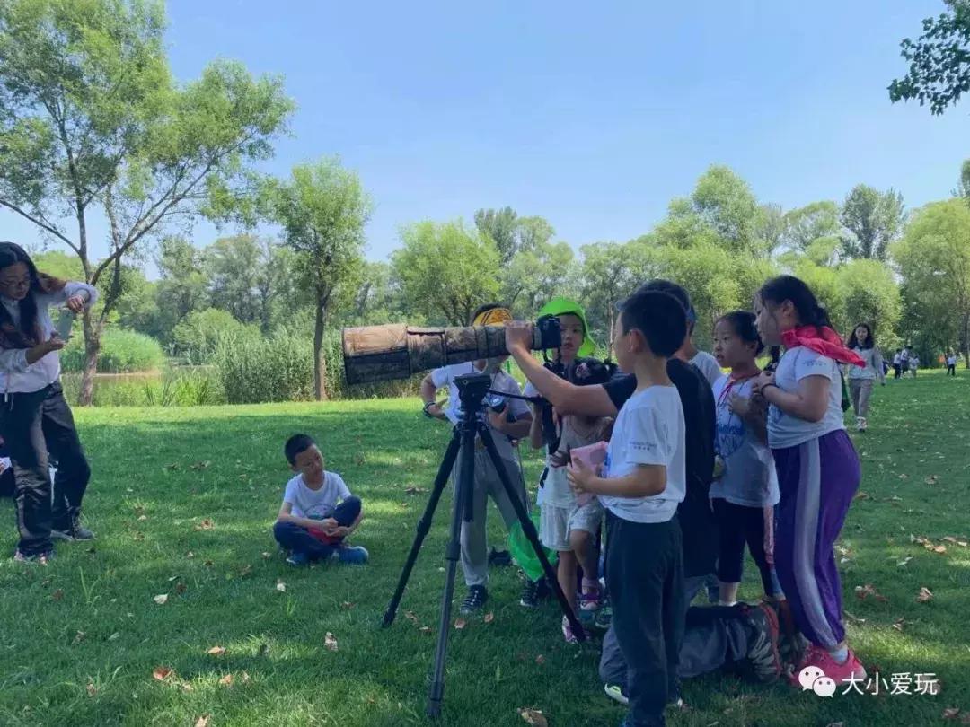 夏令营实地考察,儿童夏令营营地