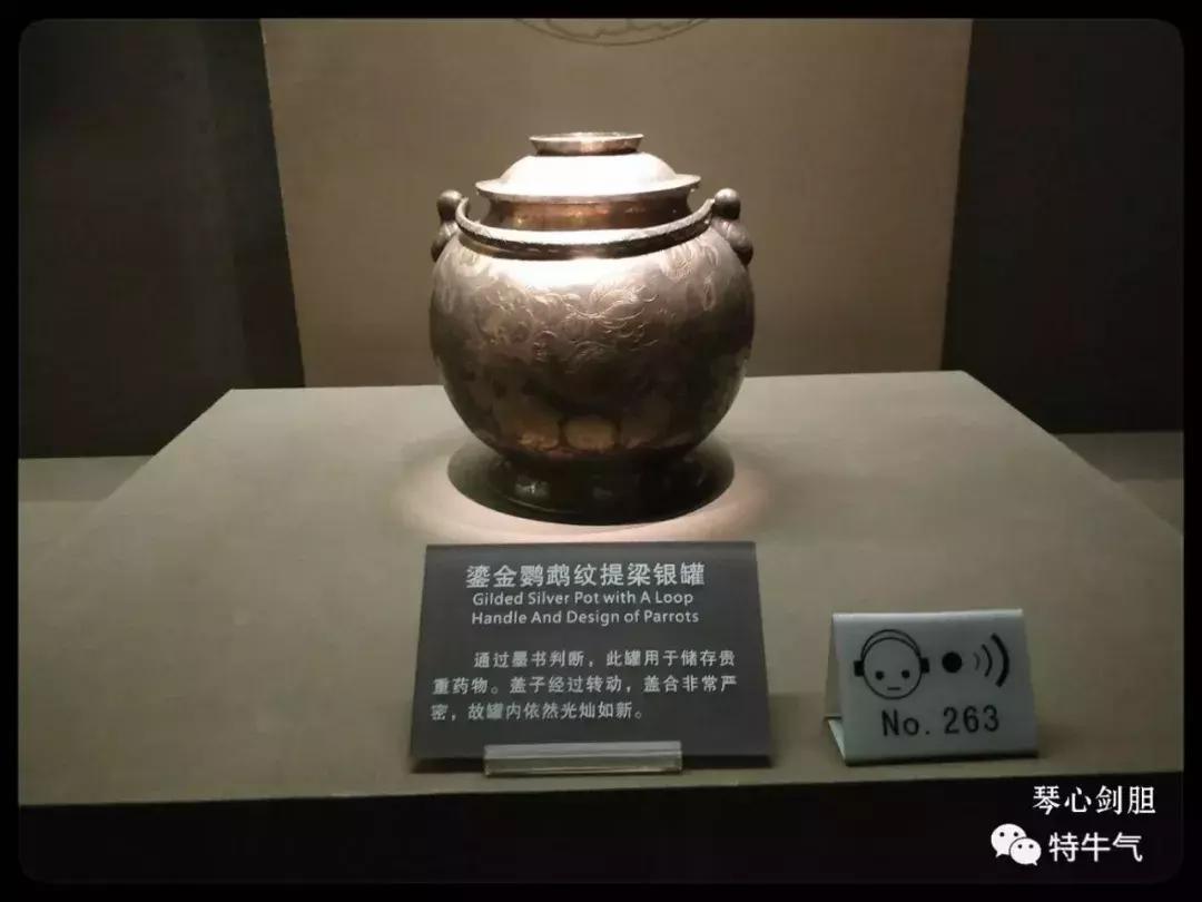 赤金走龙陕西历史博物馆,陕西历史博物馆抢票攻略