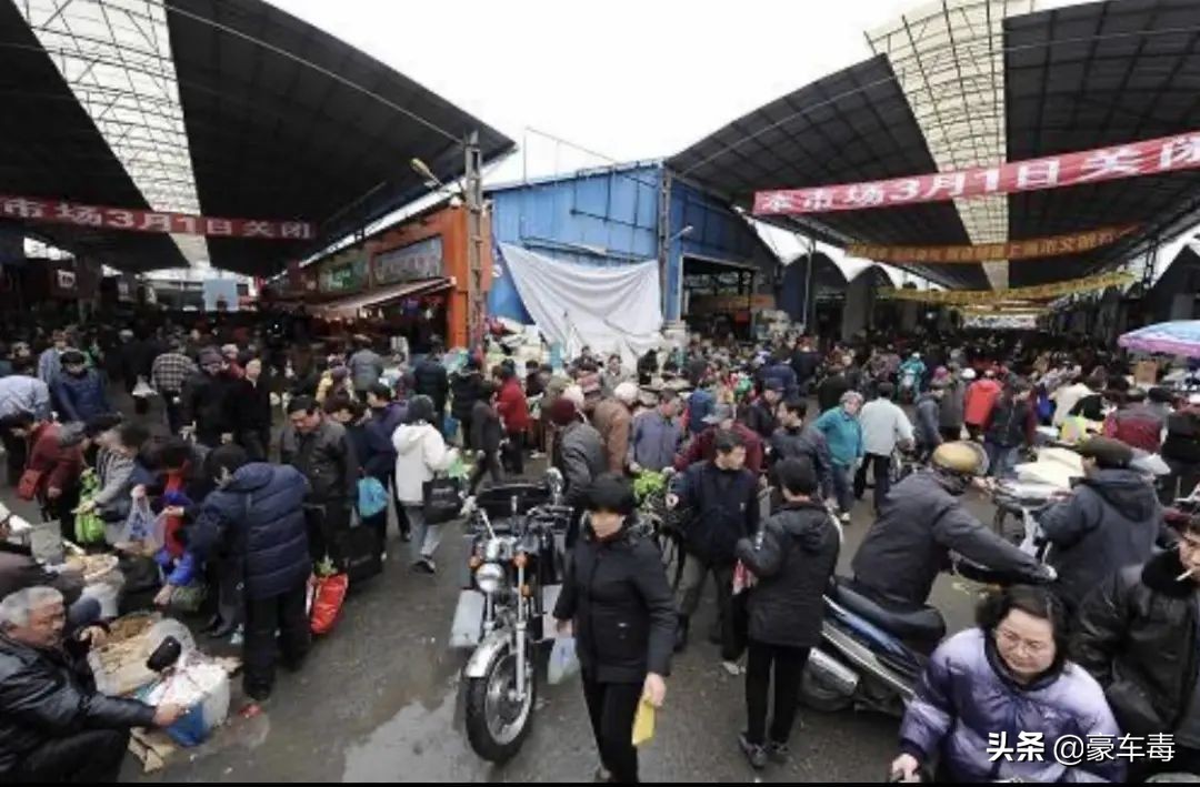 豪车毒老纪考斯特,豪车毒老纪小跟班