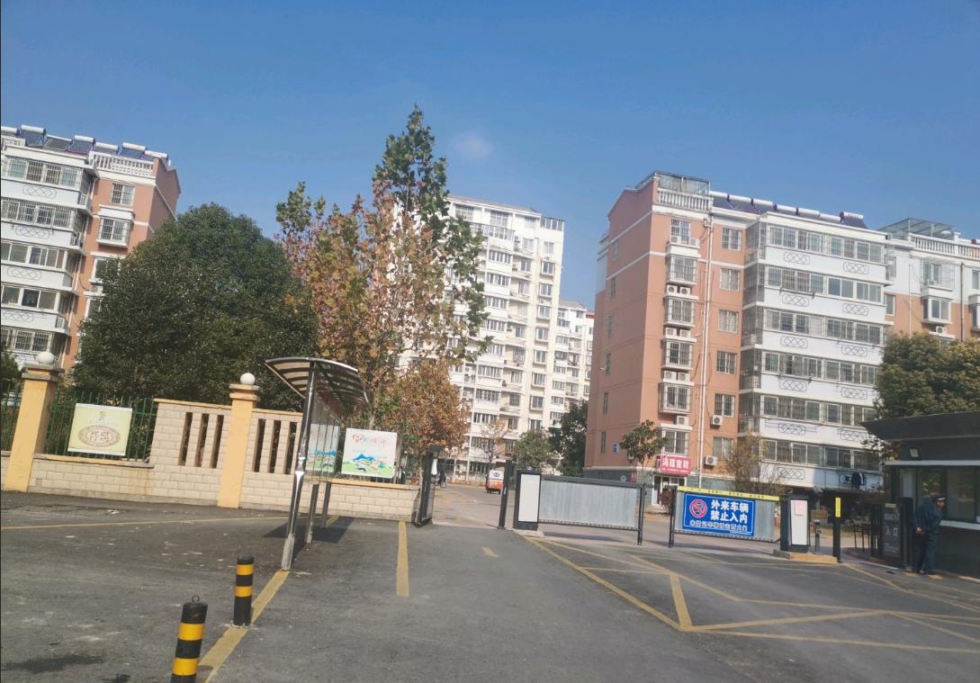 宋跳前景,宋跳有发展吗