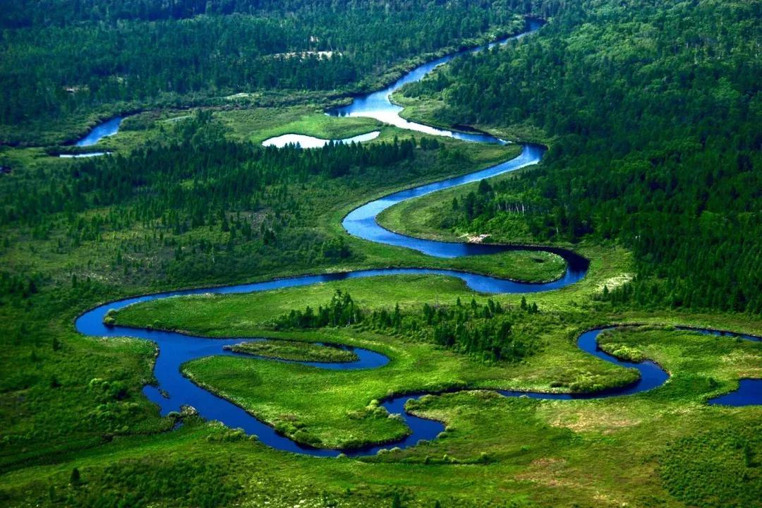 黑龙江飞鹤乳业有限公司,黑龙江省飞鹤乳业有限公司