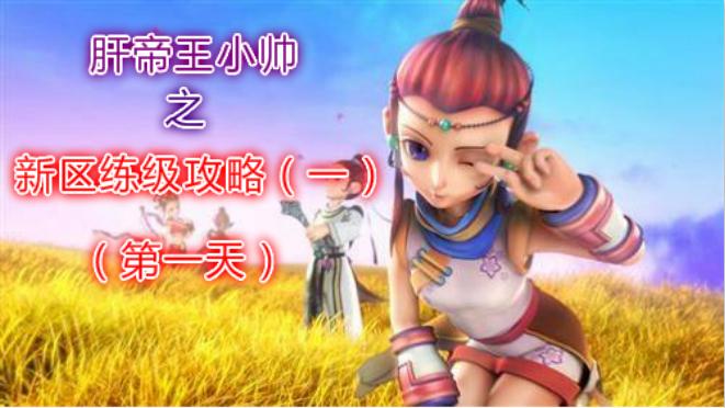 梦幻西游新区冲级最强阵容,梦幻西游0-109练级费用攻略