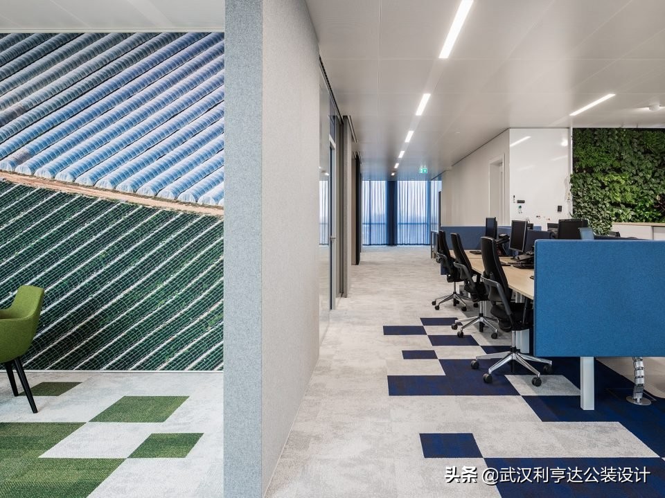 绿意盎然的氛围感,让你的办公环境变得更舒心