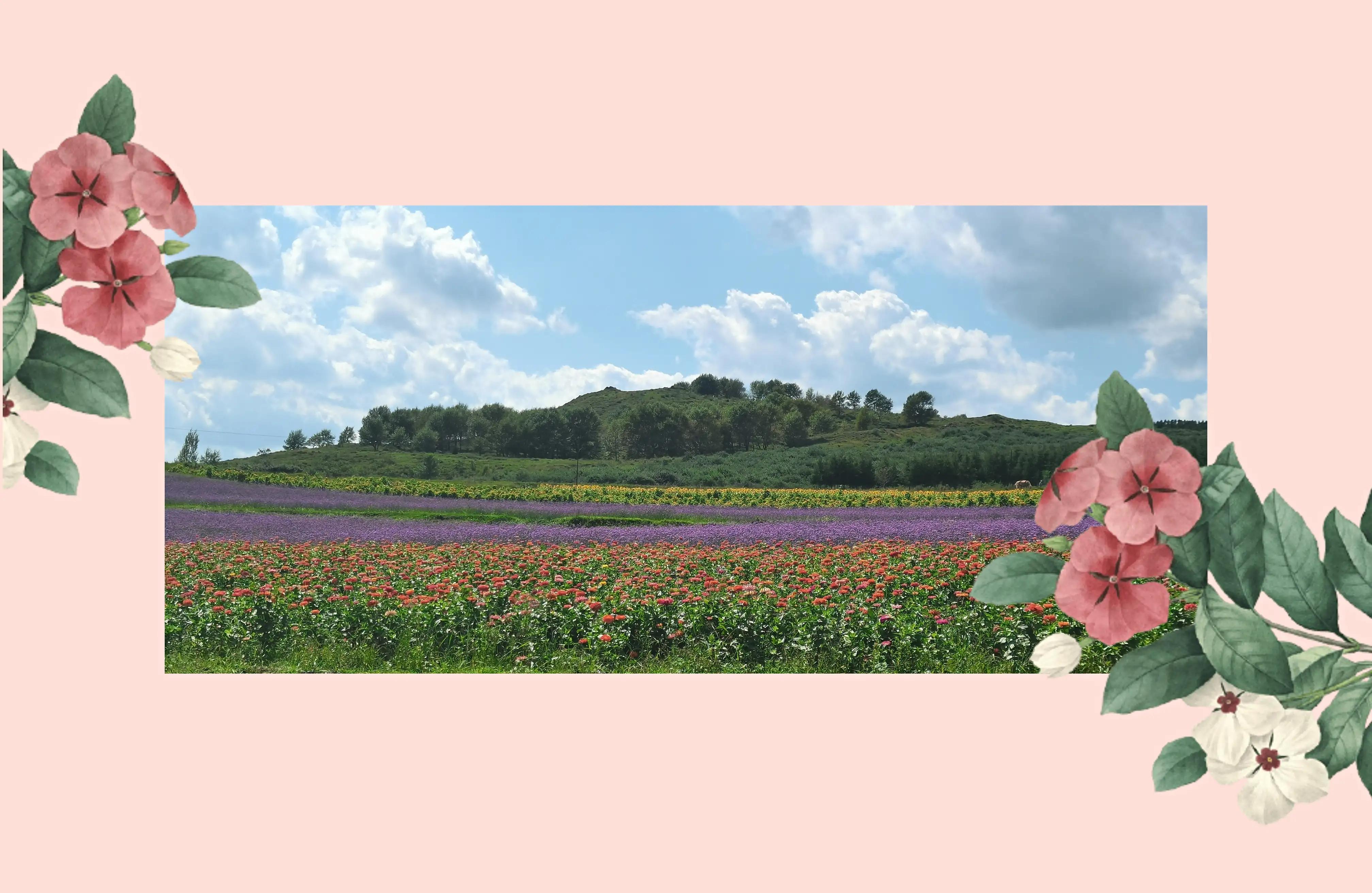 草原天路精彩视频,草原天路