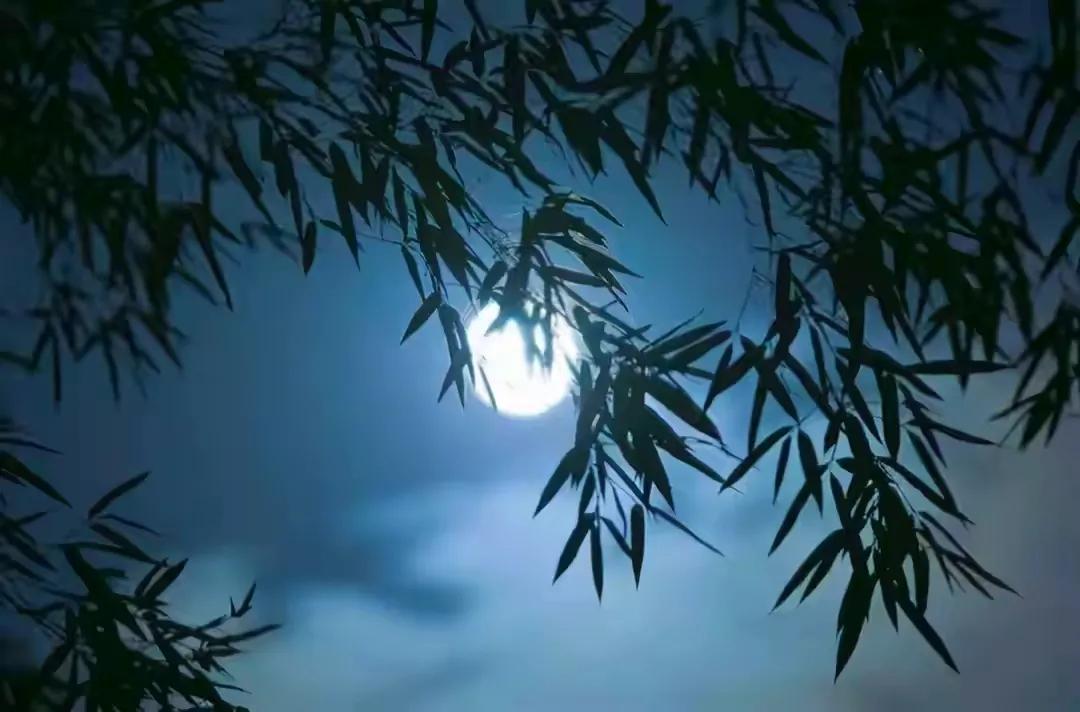 王维诗词最佳十首完整版,王维诗文作品100首