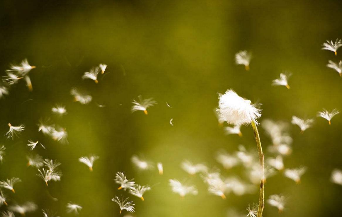 对待聪明人的办法,面对阴险狡猾的人该怎么回避他