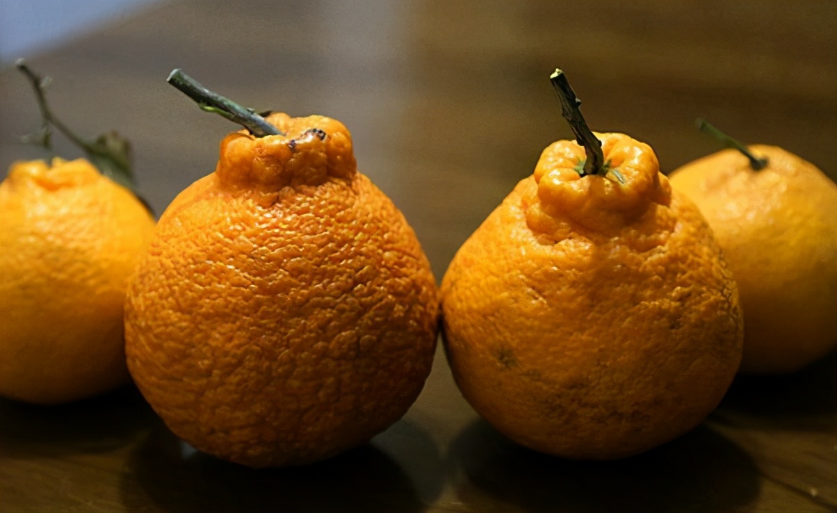 丑橘怎么挑,丑橘要怎么选才能选到最甜