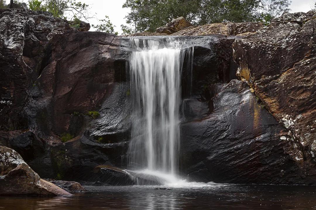 代购为什么会在cdf下单呢,有人在cdf会员购上买到假货吗