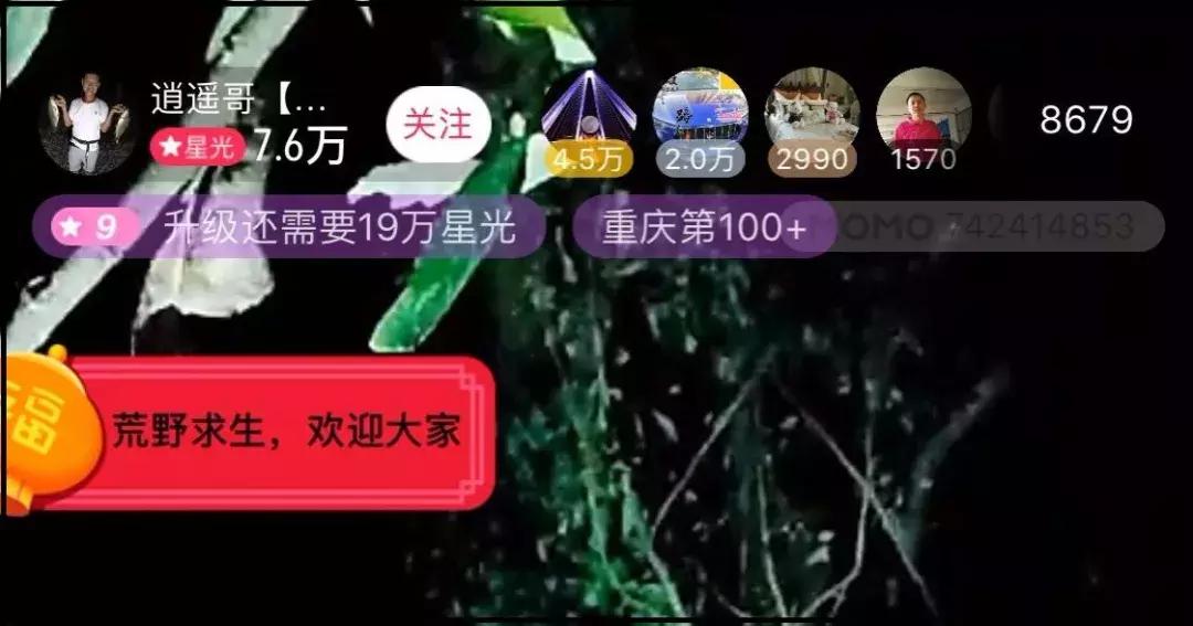 辛巴被封后流量变化,辛巴被封号的网红