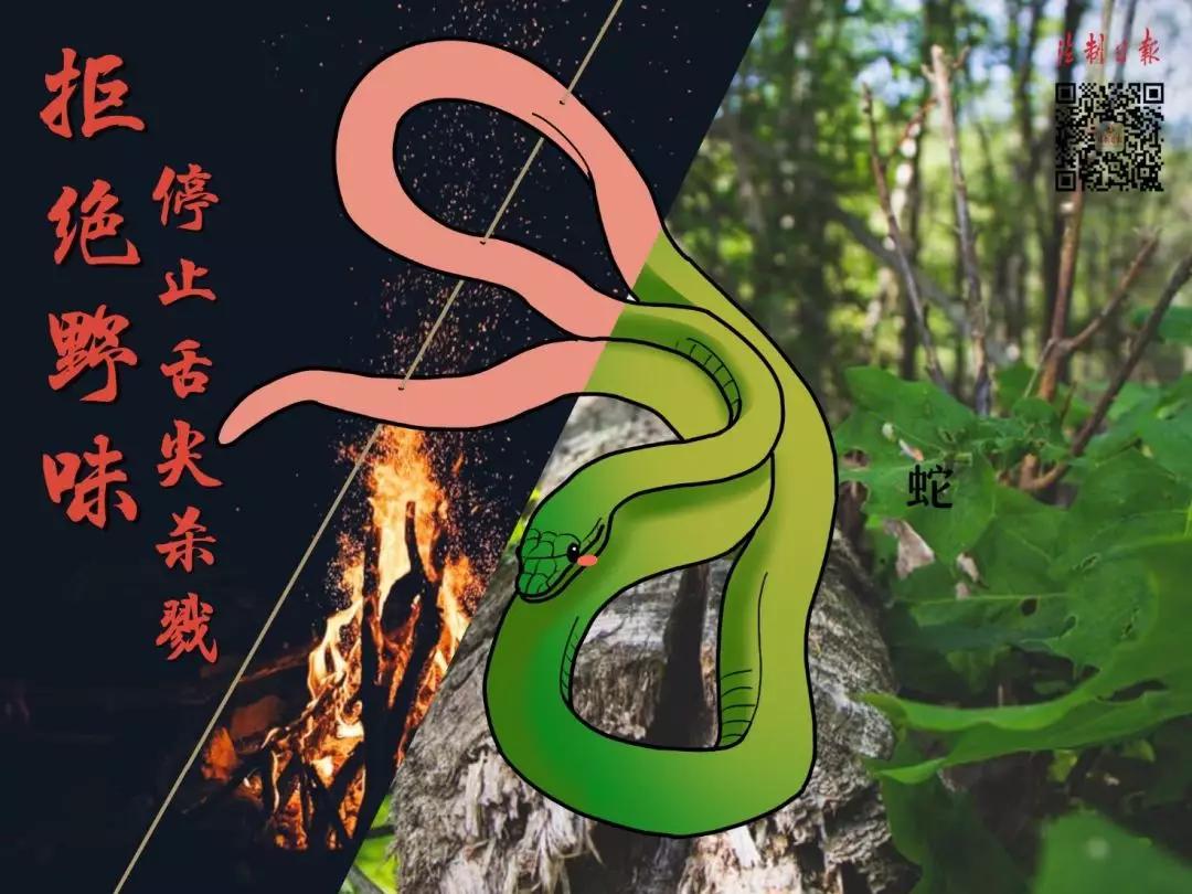 拒绝野味成为自觉行为,拒绝野味管不住嘴