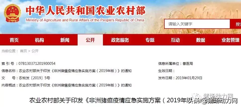 疫点3公里内生猪可不扑杀，农业农村部发布非洲猪瘟应急实施方案