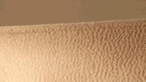 maxmara大衣101801适合小个子吗,maxmara101801大衣属于什么档次