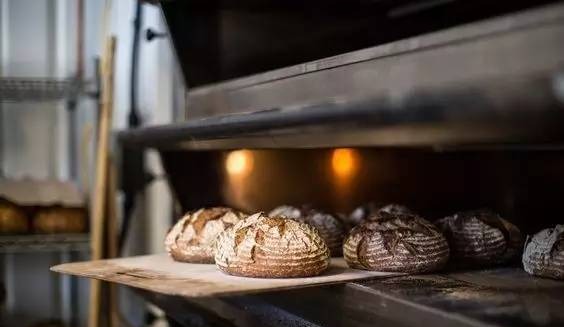 面包培训心得体会总结怎么写,面包学习经历