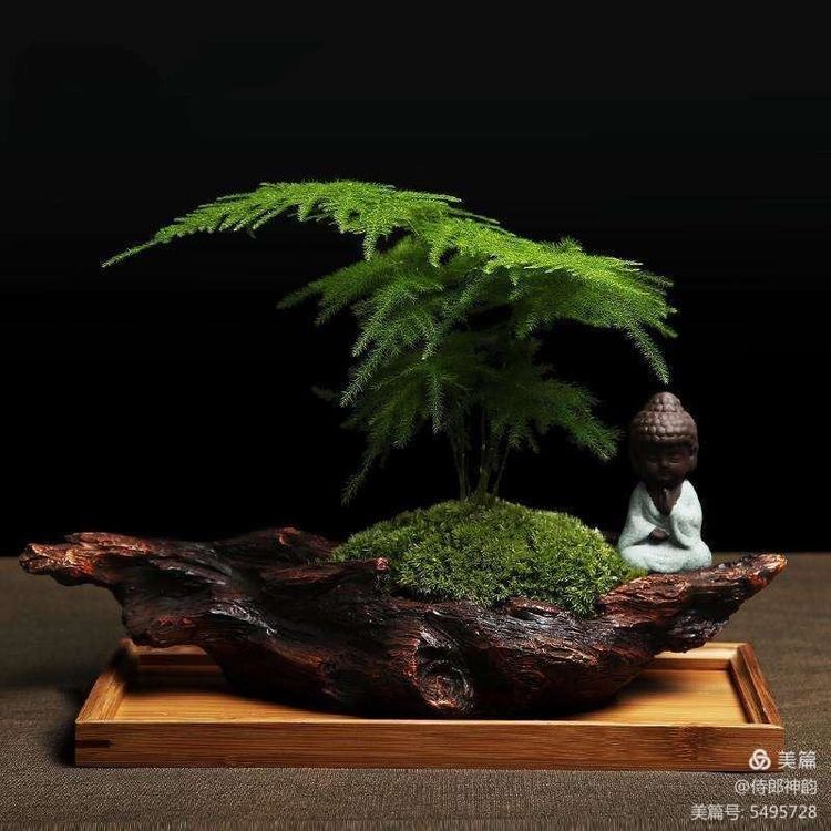 情爱禅语,佛家经典禅语