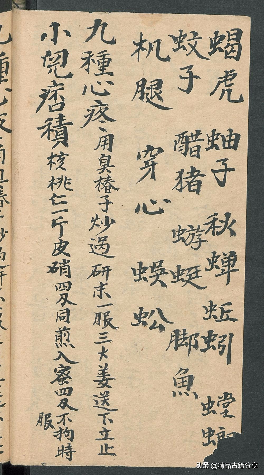 民间中医古籍书籍大全,民间看病书