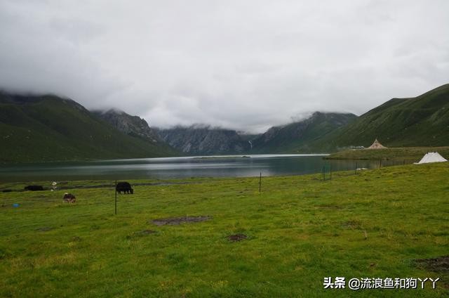 年保玉则现在开放了吗,年保玉则为啥被封