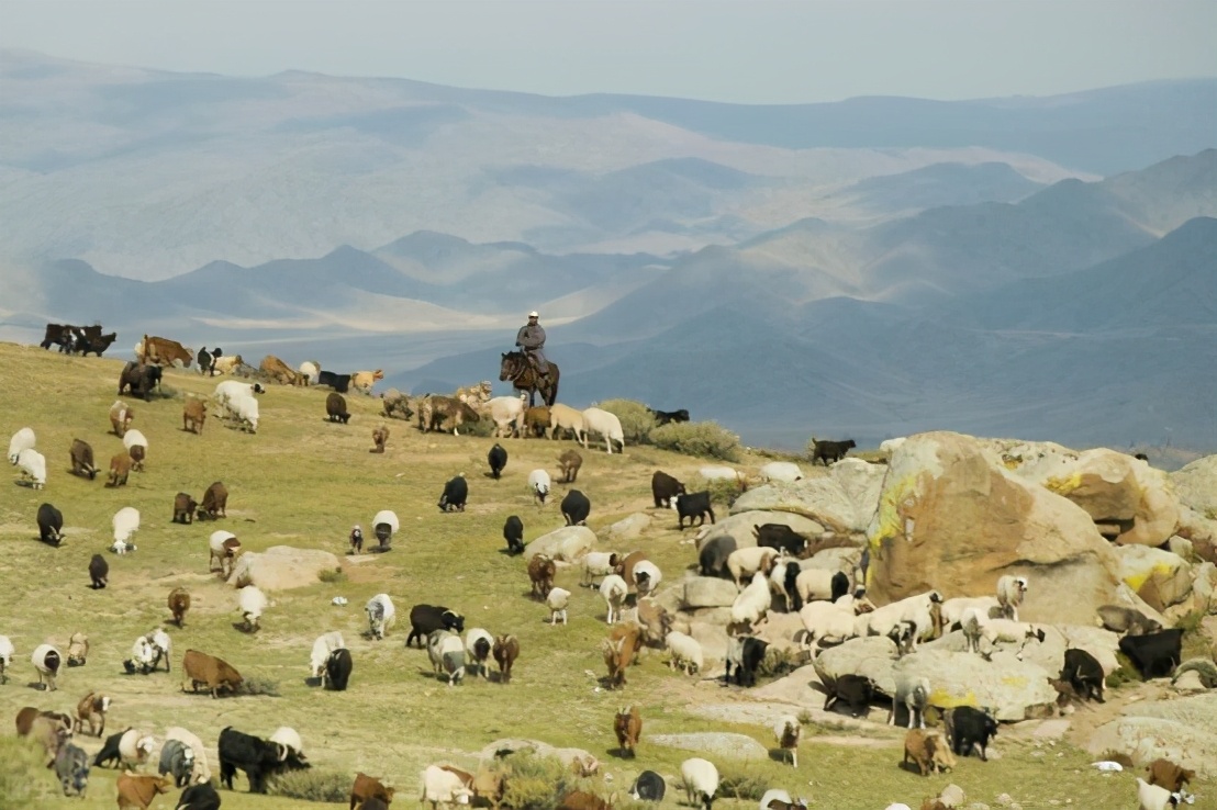 治沙对策和措施,治沙的最好办法