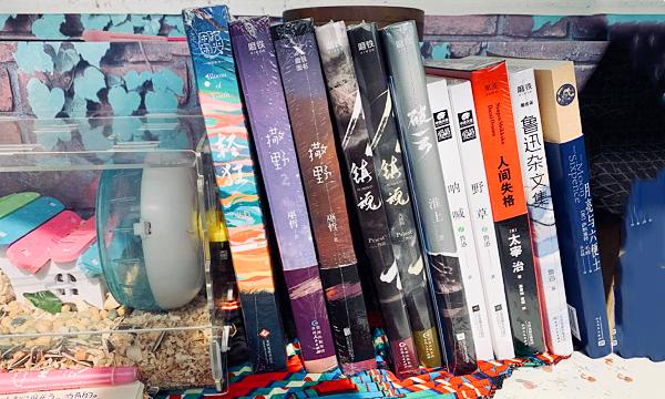 哑舍这本书值得看吗,哑舍这本书结局怎么样