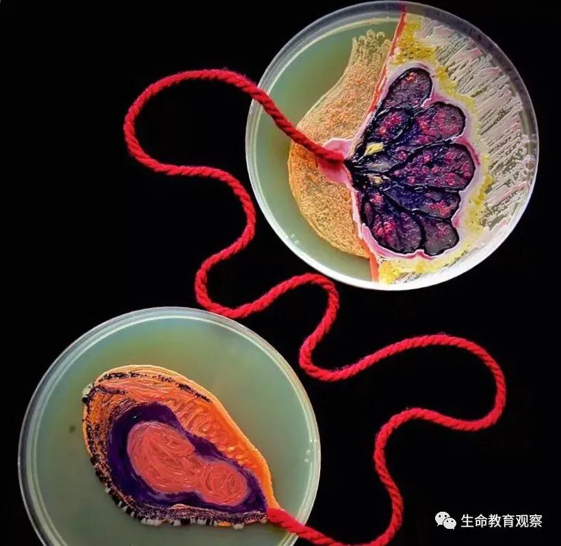 理科男喜欢的七夕礼物,理科男的送的礼物