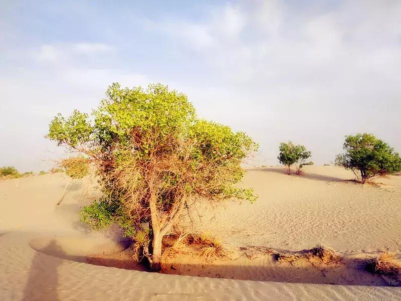 南疆印象地图,南疆印象之喀什