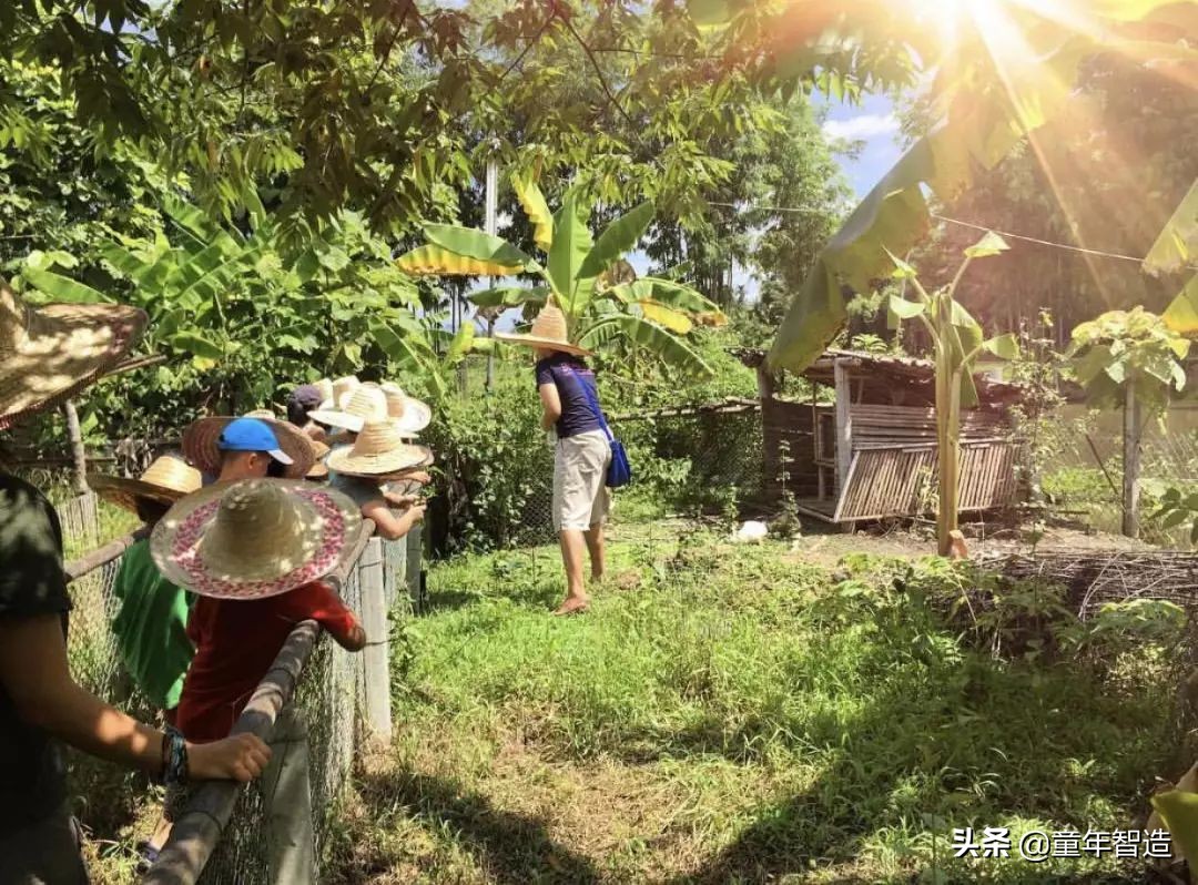 夜半*拍偷**下,成就今年第一部神级纪录片:黑暗下的生命,超乎想象