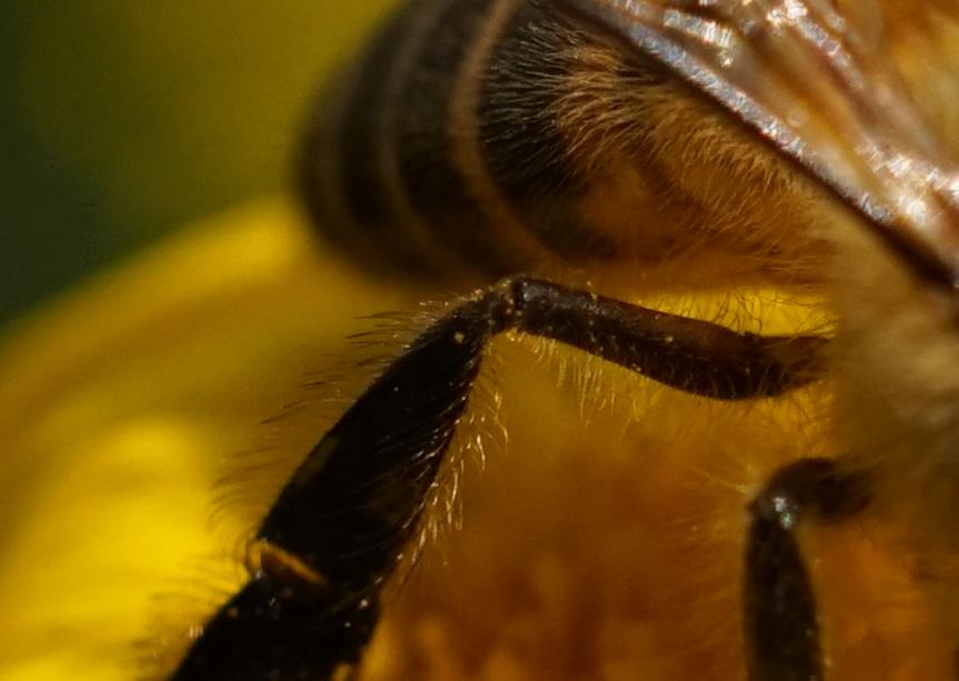 腾龙75-180与85定焦镜头,超值长焦定焦