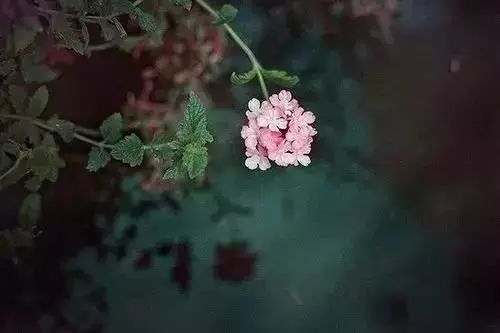 12个句子看透人世浮华,看透人世浮华做一个简单的人