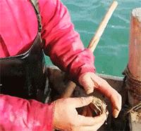 如东教师辞职改行卖海鲜,大学老师辞职卖海鲜