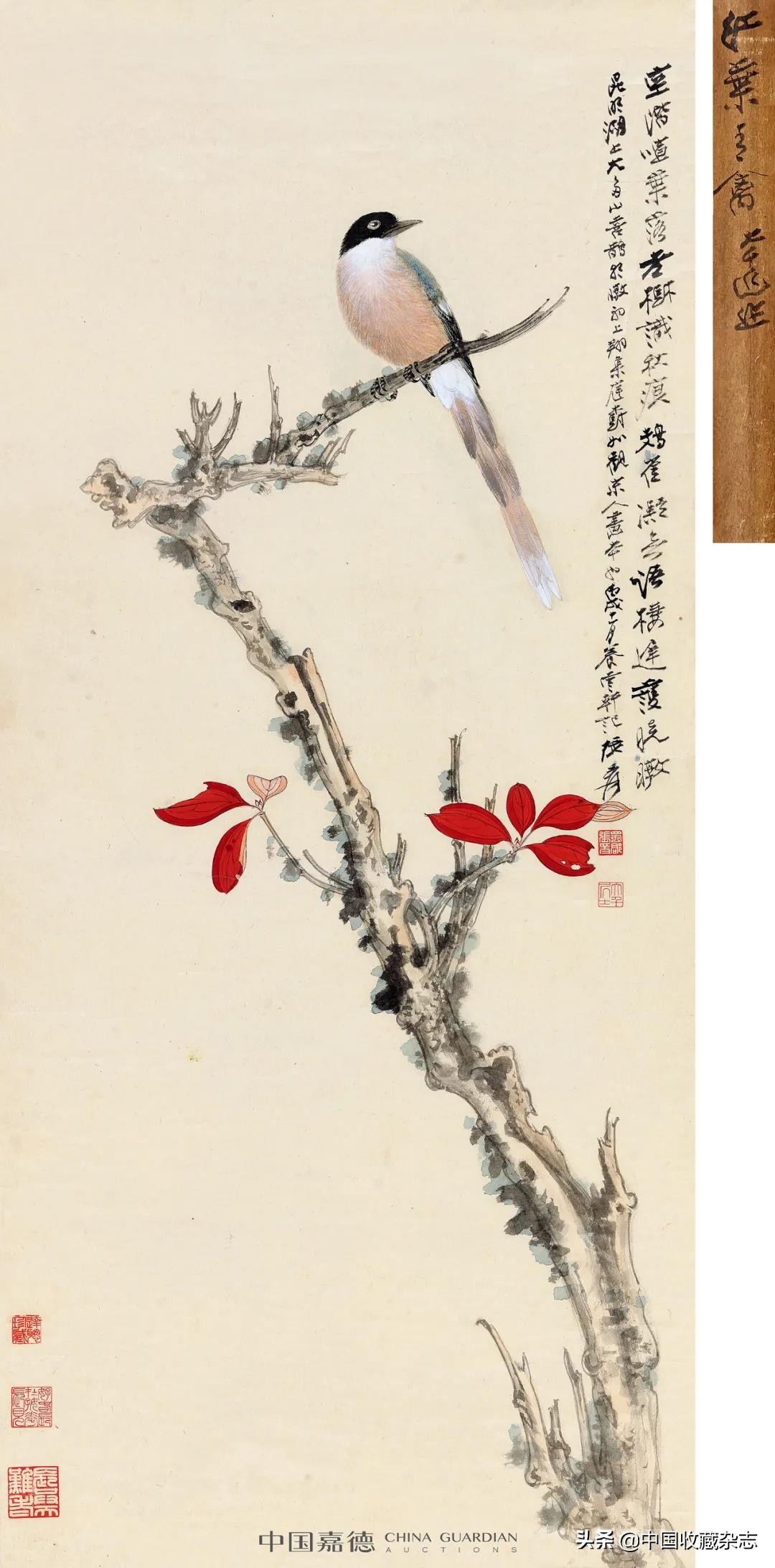 大观之夜最新消息,2021年大观之夜