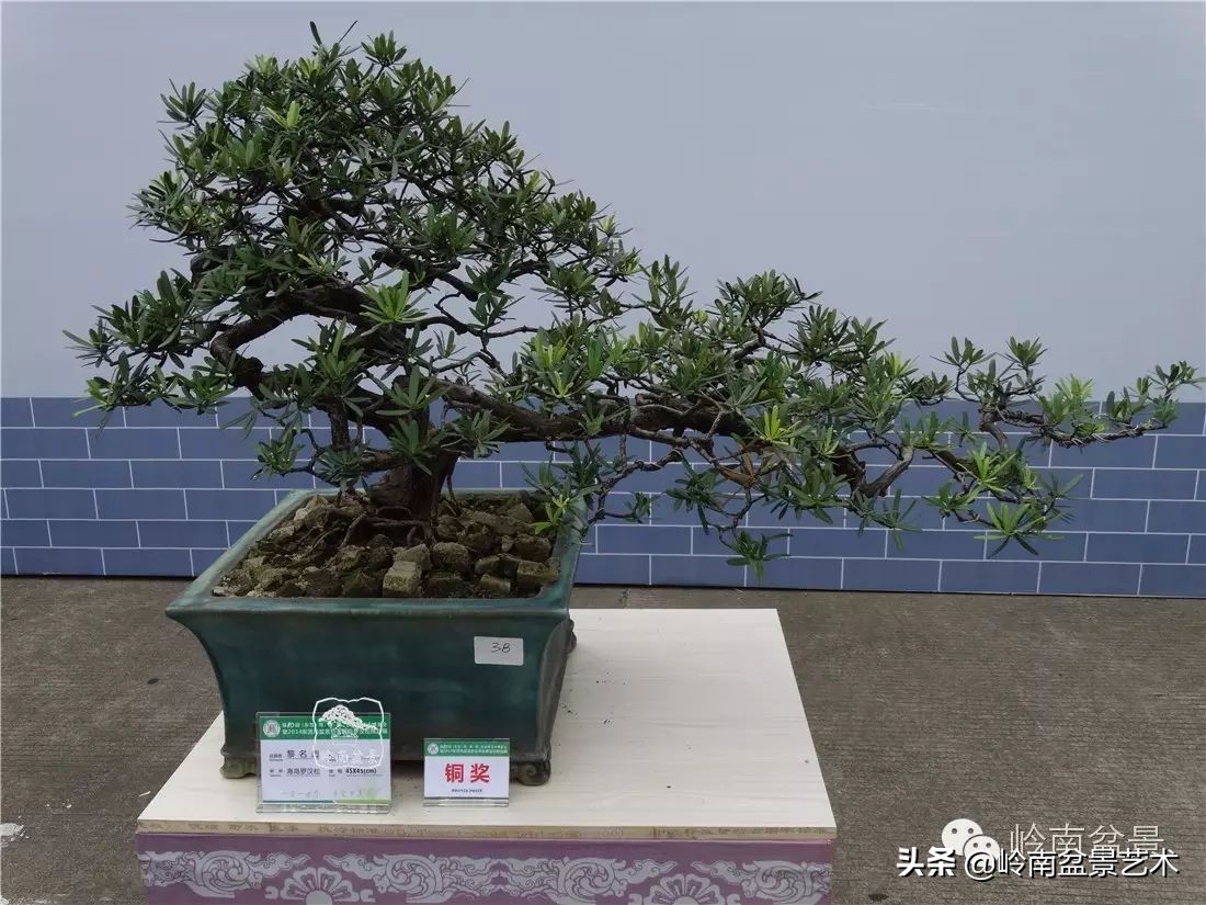 开运招财，非其莫属！清风雅韵，当之无愧！