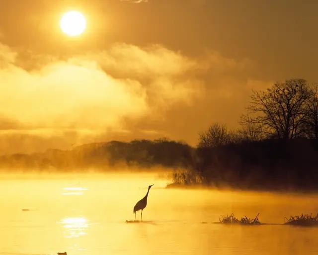 哥伦比亚大学教导学生,哥伦比亚的训练方法