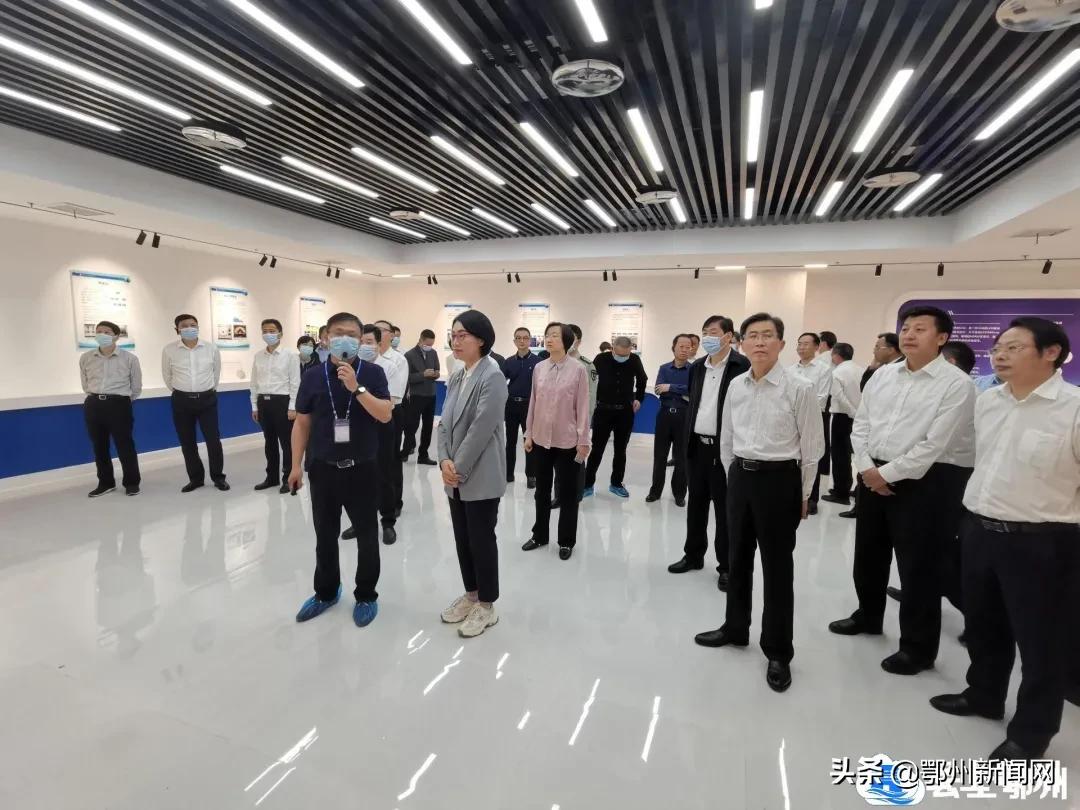 鄂州市乡村振兴拉练新闻视频,鄂州市项目拉练