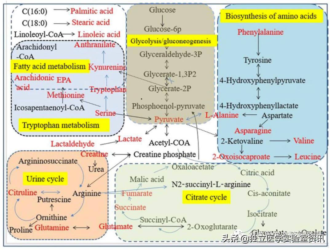 AI检验项目挖掘的实践，看医检数字化创新有哪些…